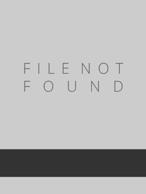 Image of The Missing Piece